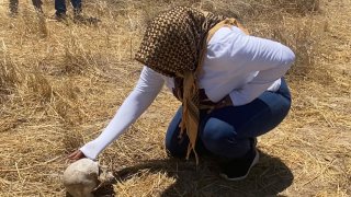 Hallan al menos 15 cadáveres en fosas clandestinas en el sur de México