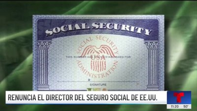 Por qué renunció la directora del Seguro Social