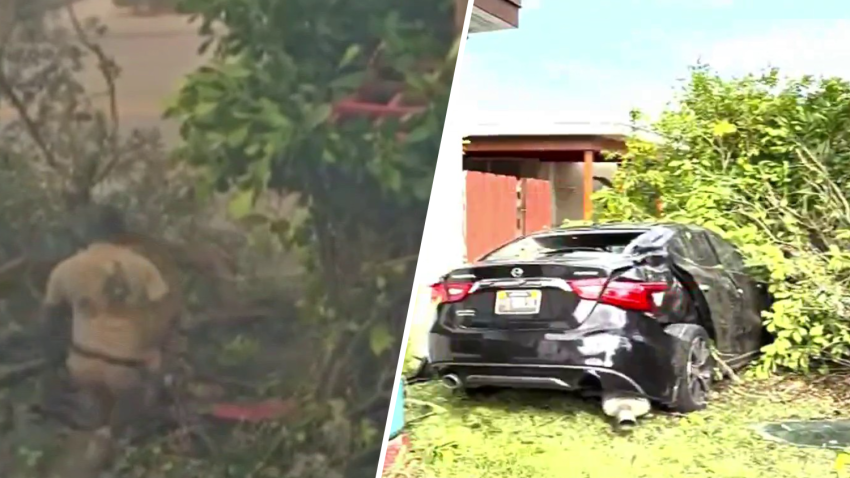 A man has been arrested after deputies say he was behind the wheel of a car that slammed into the fence of a home in Northwest Miami-Dade, and then tried to flee the scene.