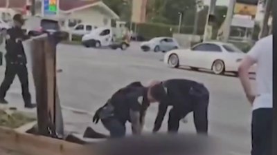 Revelan imágenes de la cámara corporal de policías que intentaron rescatar a mujer atropellada en Miami