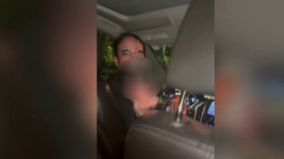 Influencer de Florida acusada de actos sexuales con perro ...