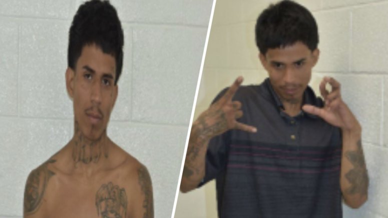 Armas recuperadas tras el arresto del presunto miembro de la MS-13 en Coral Gables.