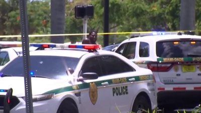 Influencer de Florida acusada de actos sexuales con perro ...