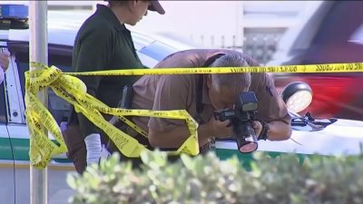Influencer de Florida acusada de actos sexuales con perro ...