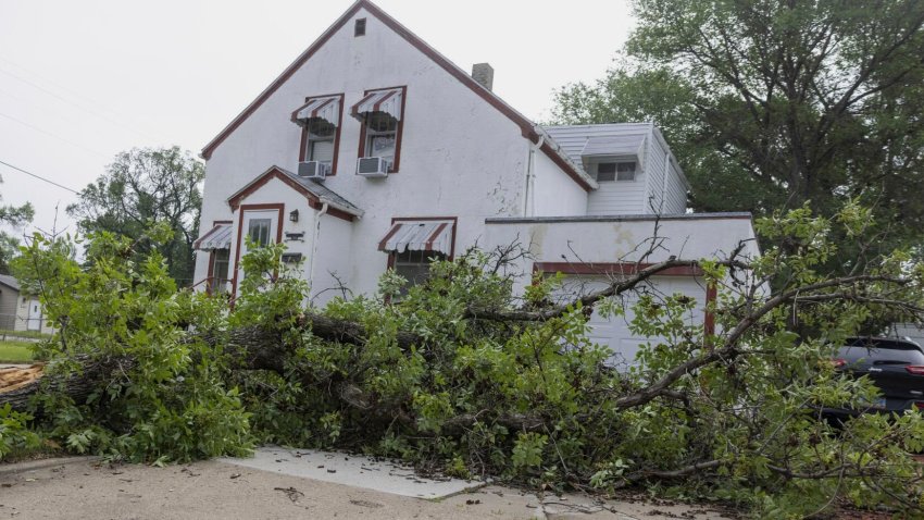 Un árbol caído yace en un jardín tras a las fuertes tormentas de la noche anterior en Bismarck, Dakota del Norte, el sábado 21 de junio de 2025. (Tanner Ecker /The Bismarck Tribune vía AP)