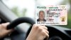 Licencias de Florida podrían tener marca para identificar a conductores no ciudadanos