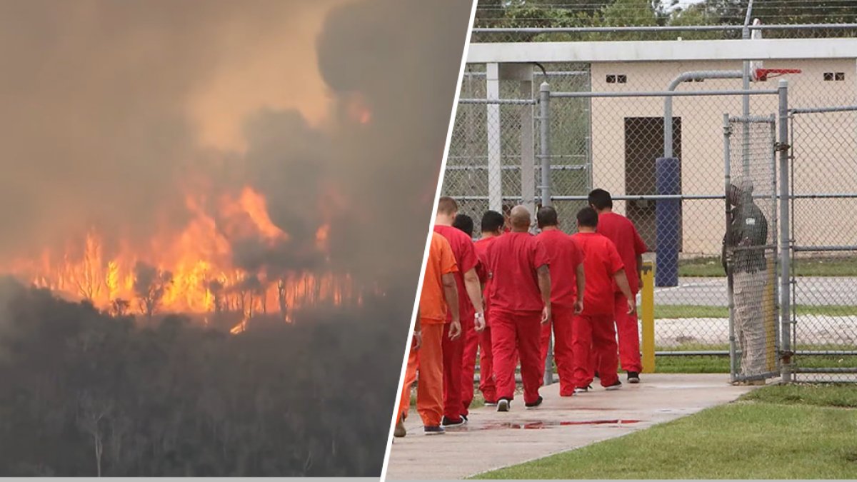 The Krome Crossroads: ICE Executes Mass Evacuation Amidst Wildfire Siege
