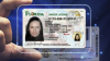 La nueva licencia de conducir de Florida incluye un caimán, el transbordador espacial y este lema