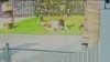 Una mujer grave tras ser atacada por 4 perros en medio de una calle de Miami-Dade