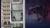 Denuncias sobre perro abandonado en pésimas condiciones en balcón de apartamento de Miami
