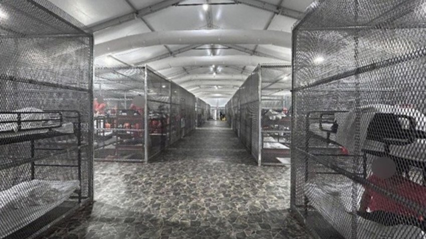 Reporte oficial constata uso de jaulas y otros abusos a inmigrantes en Alligator Alcatraz