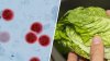 Investigación cerrada: FDA dice que hallaron cyclospora en granja mexicana