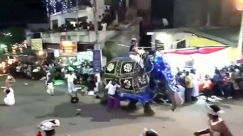 Video: elefantes pisotean a una multitud durante desfile