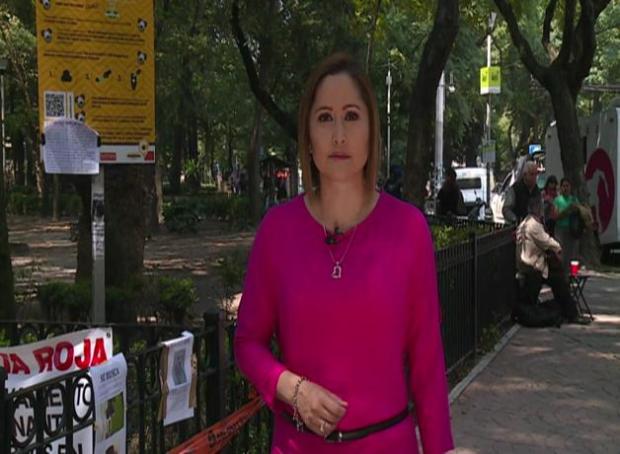 México: exterminan a perros en plazas públicas