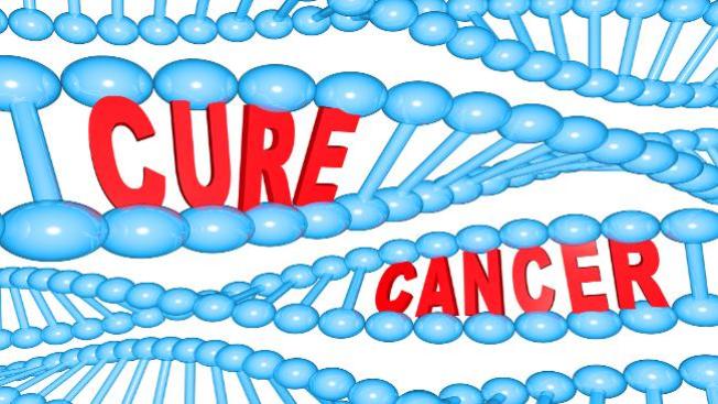 El cáncer se puede prevenir