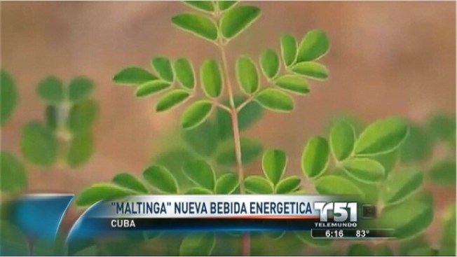 Miami, Ayer y Hoy
