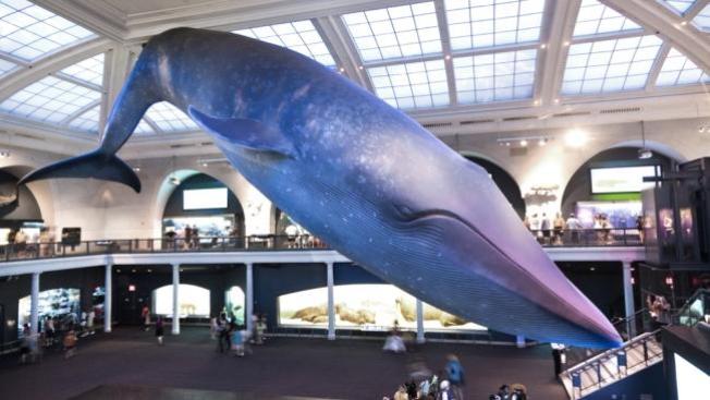 10 museos de EEUU para visitar
