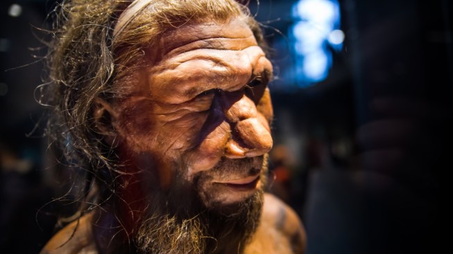 Encuentran posible causa de desaparición de neandertales